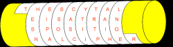 Scytale Cipher Device